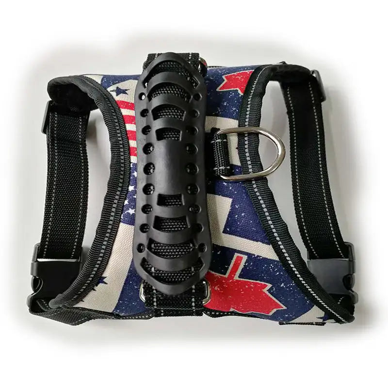 Dog Leashes - Mimarta