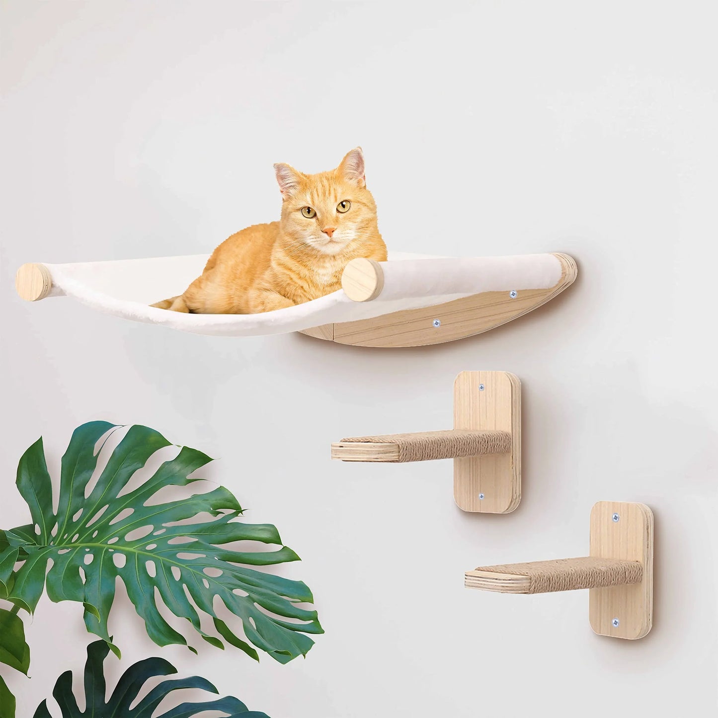 š§ Franklin's Pick: Wall-Mounted Cat Climbing Rope - Ultimate Space-Saving Vertical Playground