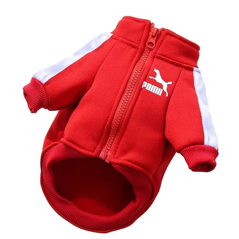 Cozy Winter Puma Dog Coat - Purrfect Pet Kingdom