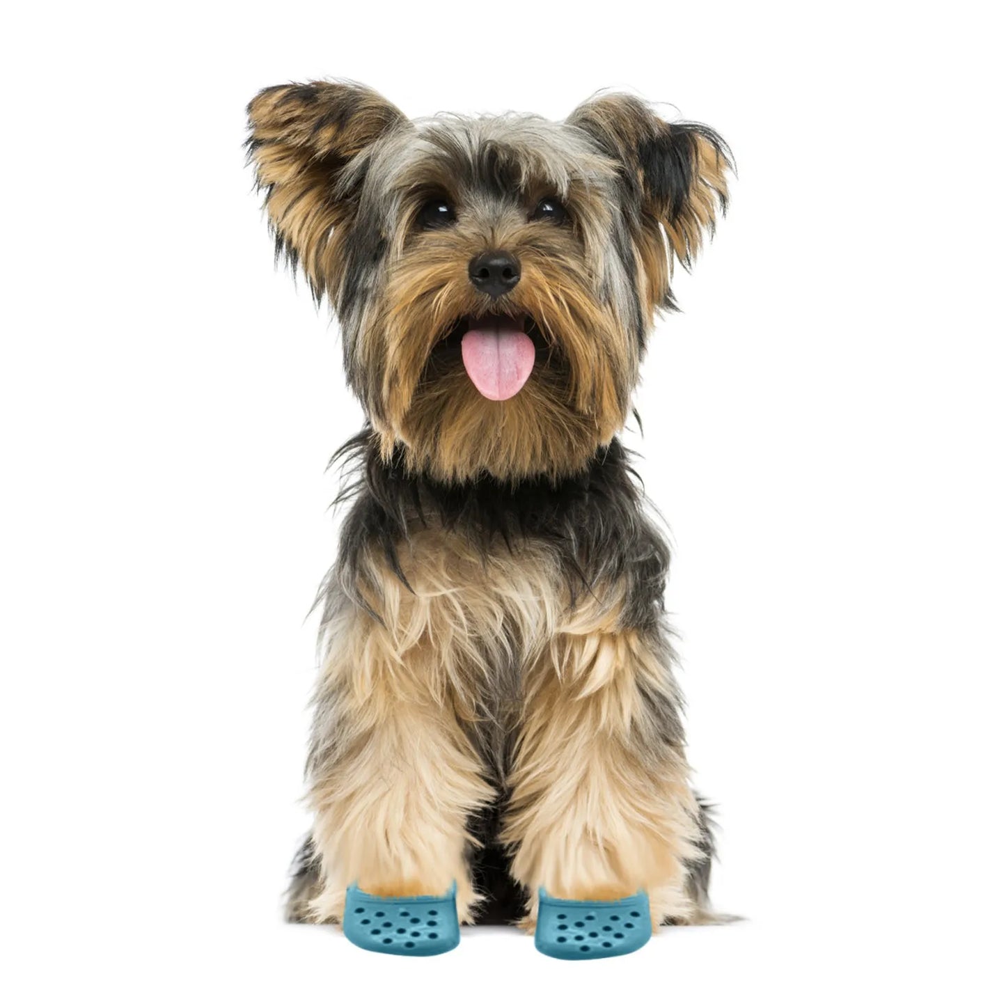 š Thickened Hole Dog Shoes - Fashion-Forward Breathable Pet Paradise