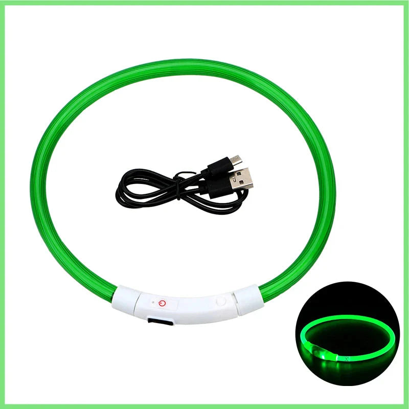 USB Rechargeable LED Glowing Dog Collar – Adjustable Night Safety - WTN Essentials
