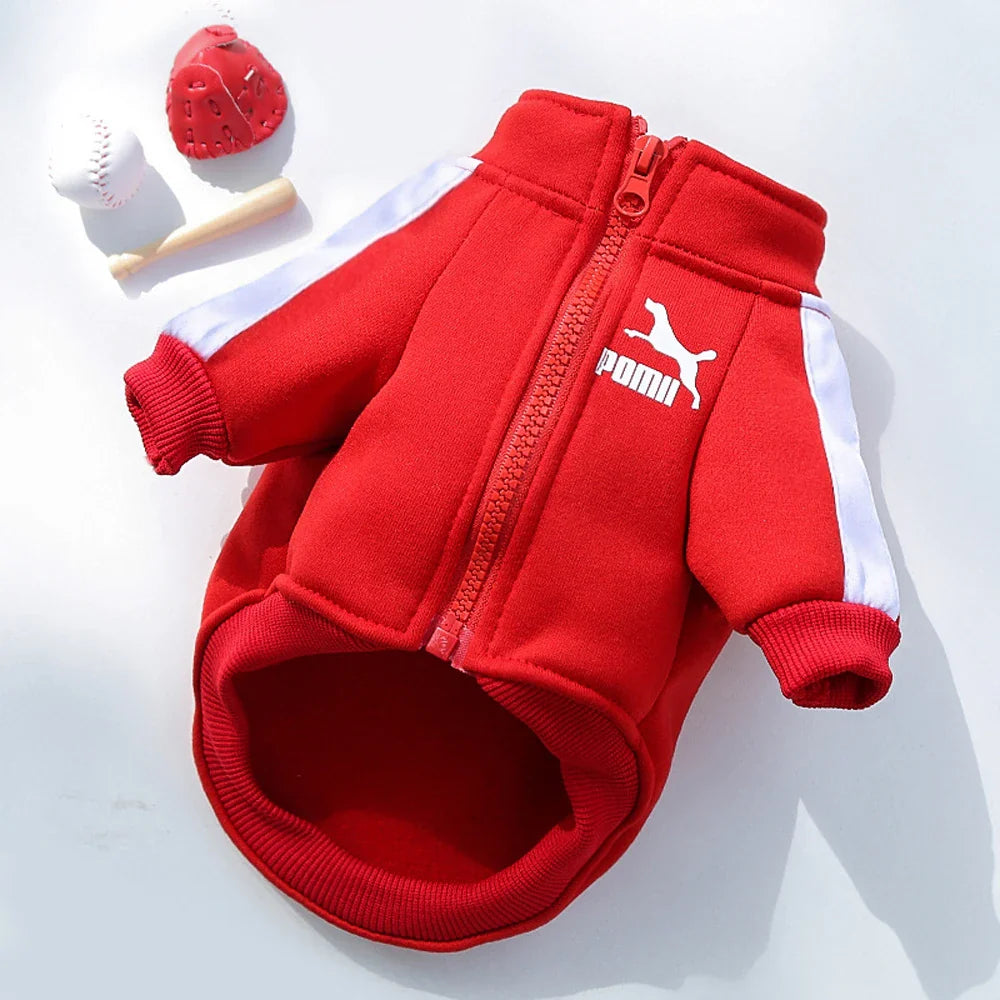 Cozy Dog Sweater - Winter Pet Clothing