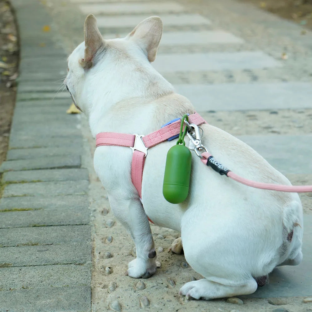 Pet Cat Dog Poop Bags Disposable Dog Waste Bags Bulk Poop Bags Dispenser biodegradable Bag Outdoor Home Clean Refill Garbage Bag - Purrfect Pet Kingdom