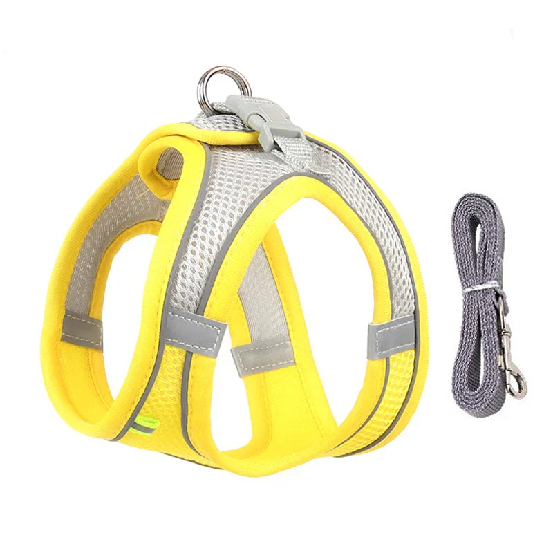Small Dog Harness Set - Purrfect Pet Kingdom