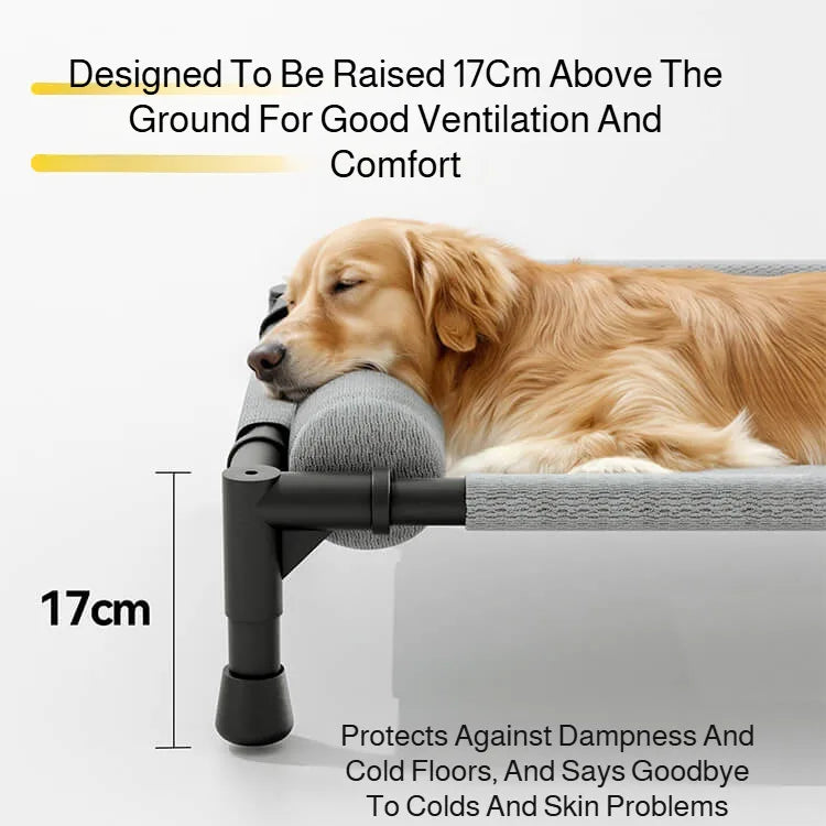 Elevated Pet Bed - Breathable Mesh for Medium & Large Dogs/Cats