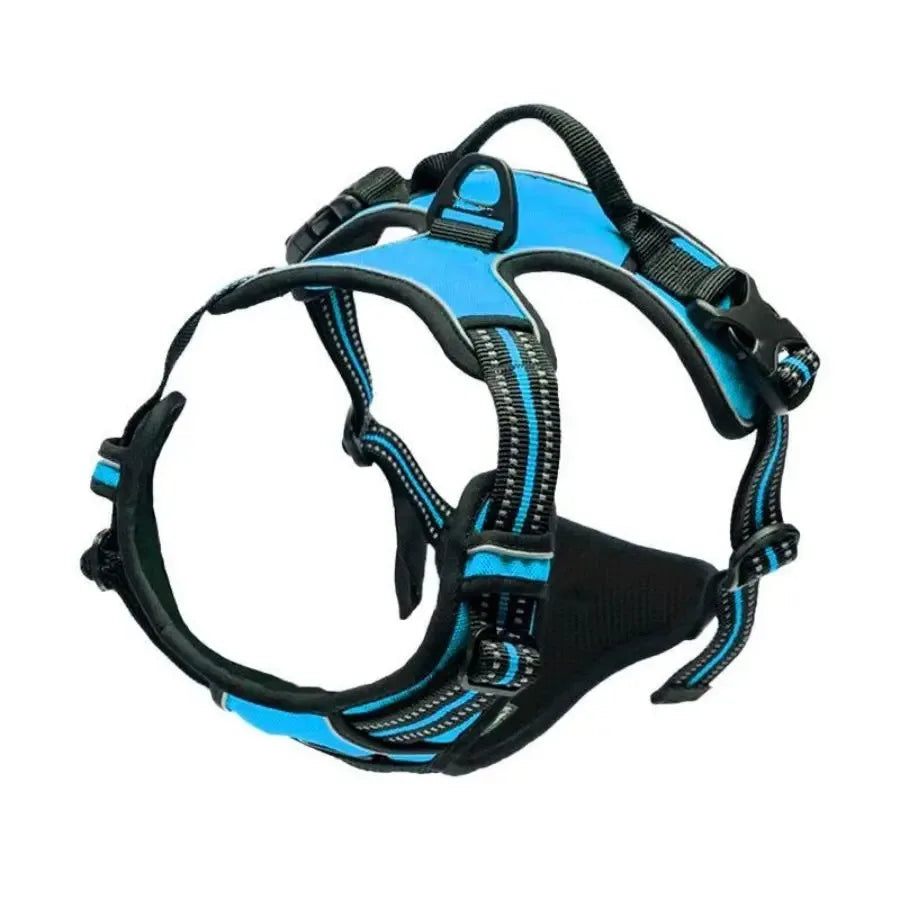 Dog Collar, Harness & Leash Set – Leather for Small & Medium Dogs
