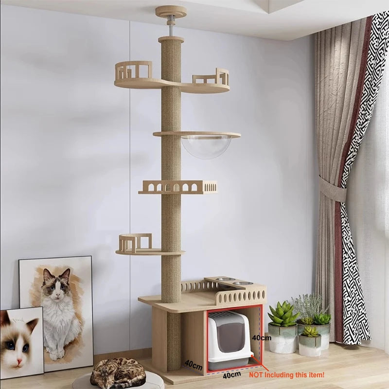 Multi Layer Solid Wood Cat Climbing Frame ๐ฑ