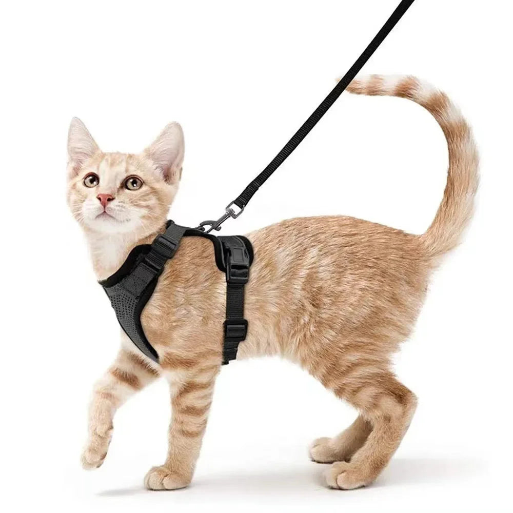 Escape-Proof Cat Harness & Leash Set - Purrfect Pet Kingdom