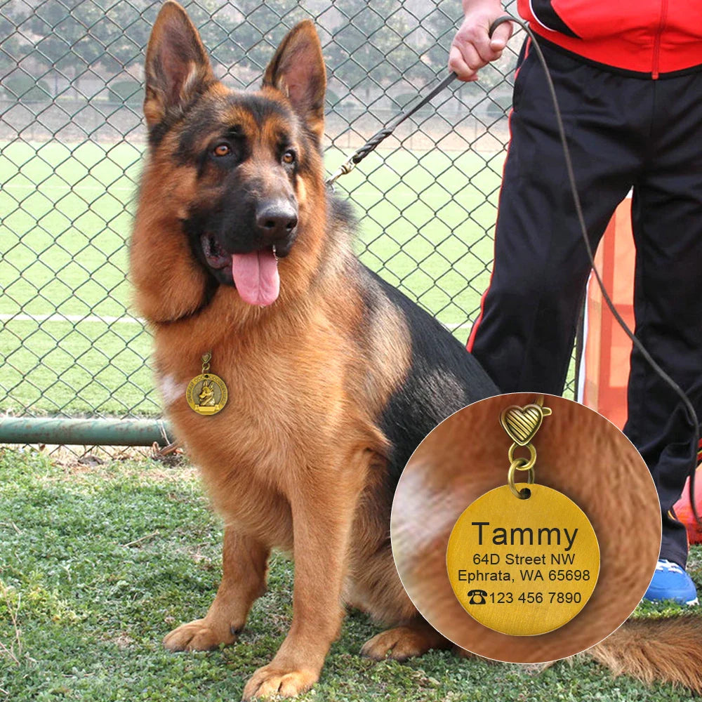 Personalized Dog ID Tag - Custom Engraved Nameplate for All Breeds