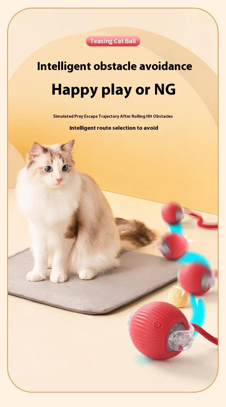 Rechargeable Interactive Smart Cat Toy - Automatic Rolling Ball Pet Accessories