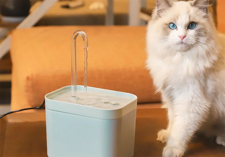 Ultra - Quiet Pet Water Fountain Auto Filter USB Electric - No Spill Water Fountain - TrustyTrade LLC
