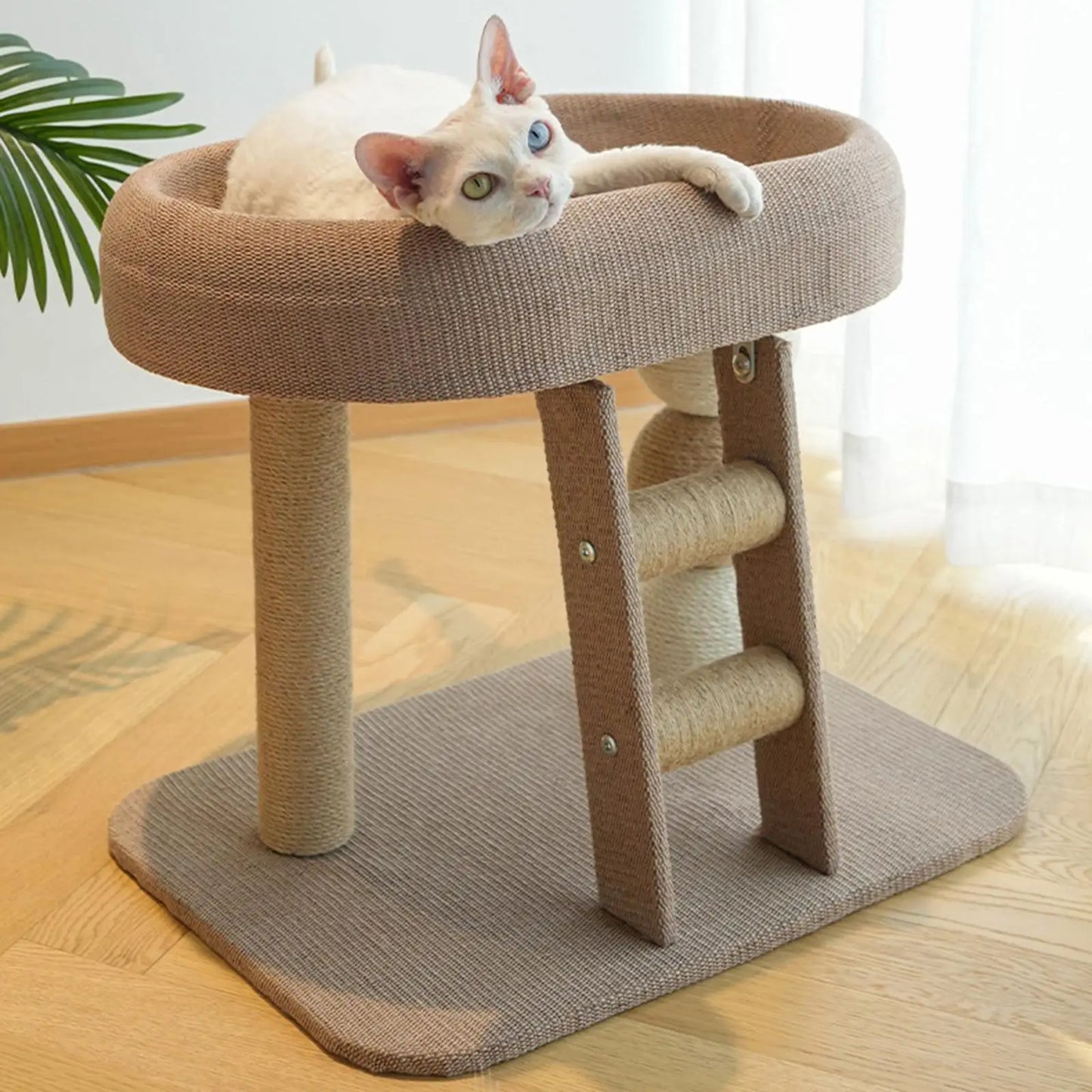Small Cat Tree Tower Scratching Post 5KG ๐ฑ