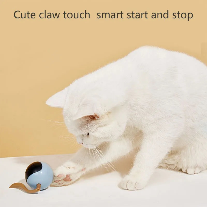 Interactive Cat Toy LED Self Rotating Smart Ball ๐ฑ