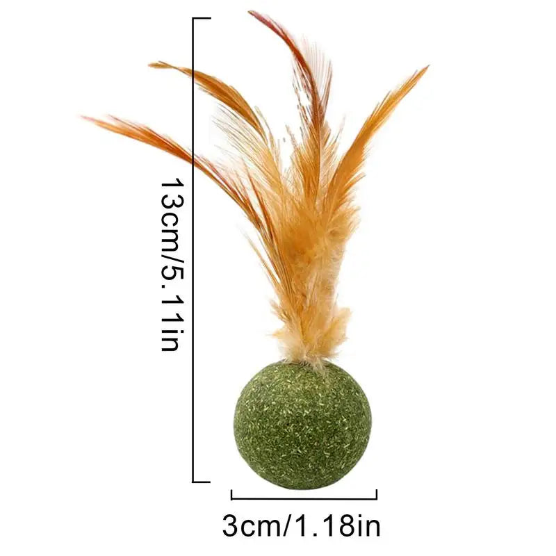 Cat Catnip Toy Feather Ball Teeth Cleaning ✅