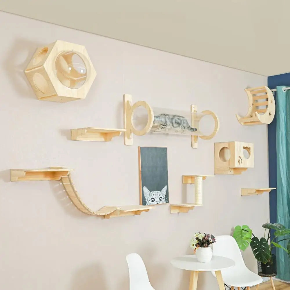 Wall-Mounted Cat Climbing System - Purrfect Pet Kingdom