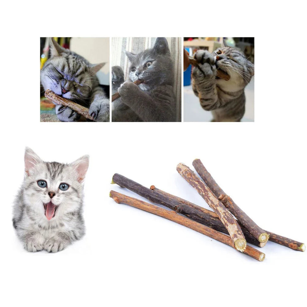 Catnip Chew Sticks Silvervine Natural Molar ๐ฟ
