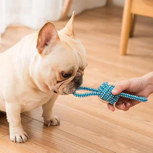 Interactive Cotton Rope Dog Toy – Mini Ball for Chewing & Cleaning