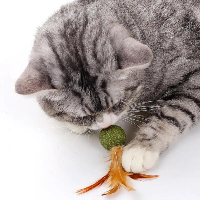 Cat Catnip Toy Feather Ball Teeth Cleaning ✅