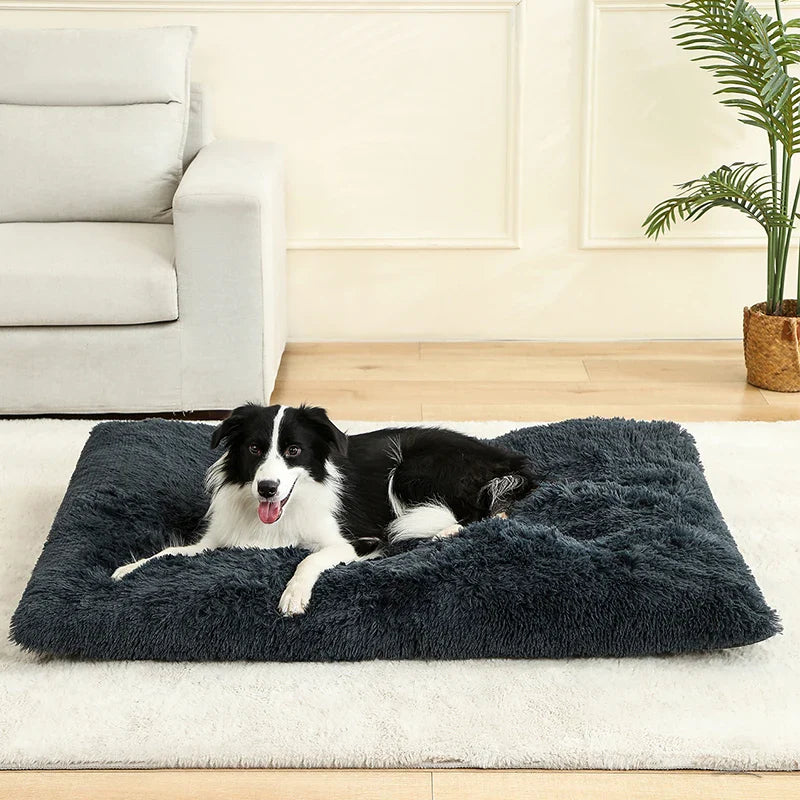 Plush Soft Dog & Cat Bed â Cozy Pet Sleeping Sofa - WTN Essentials