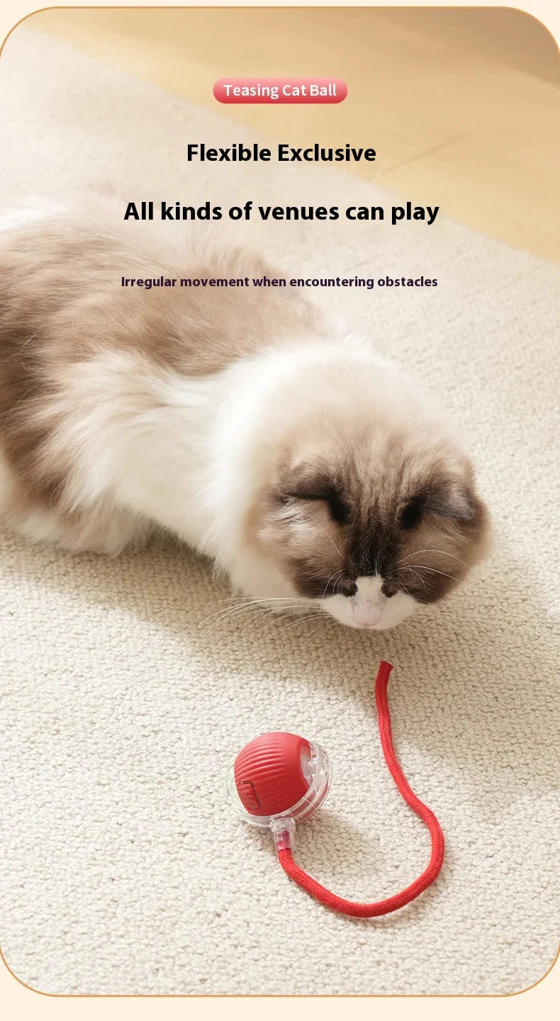 Rechargeable Interactive Smart Cat Toy - Automatic Rolling Ball Pet Accessories