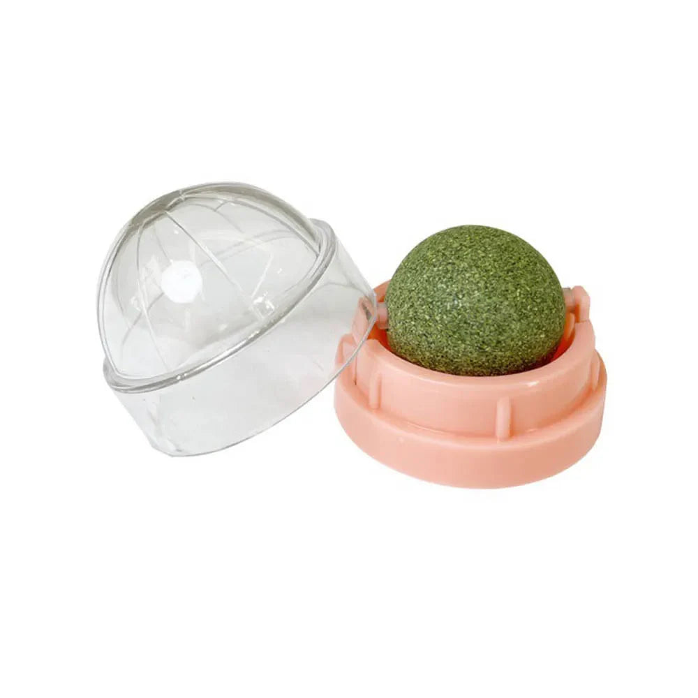 Catnip Wall Ball Treats Digestive Aid Fun ๐ฟ