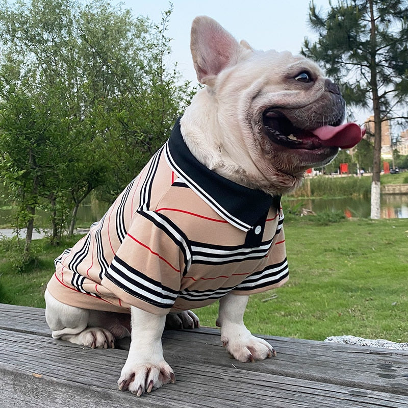 Tan Stripe Polo Dog Shirt