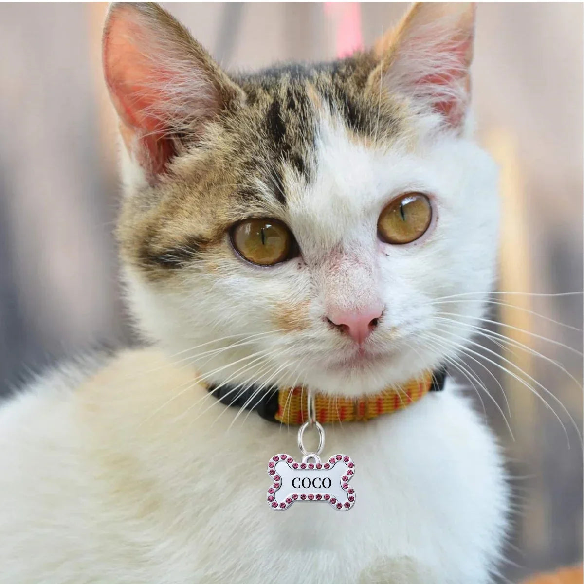 Custom Pet ID Tag - VIP Engraved Safety Nameplate