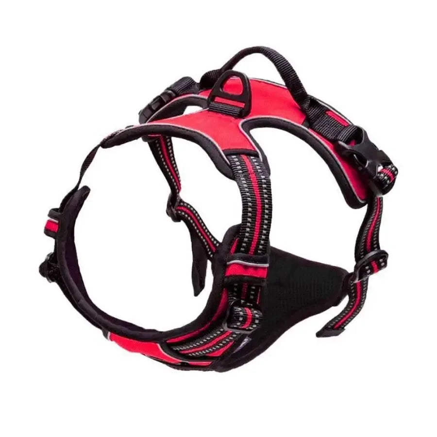 Dog Collar, Harness & Leash Set – Leather for Small & Medium Dogs