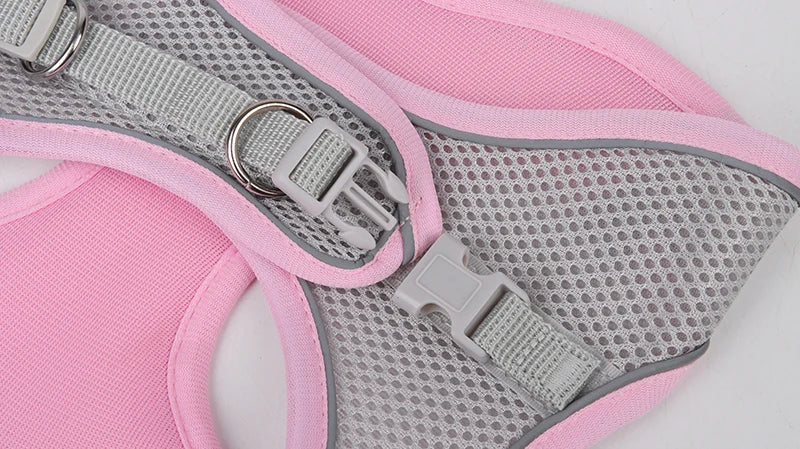 Small Dog Harness Set - Purrfect Pet Kingdom