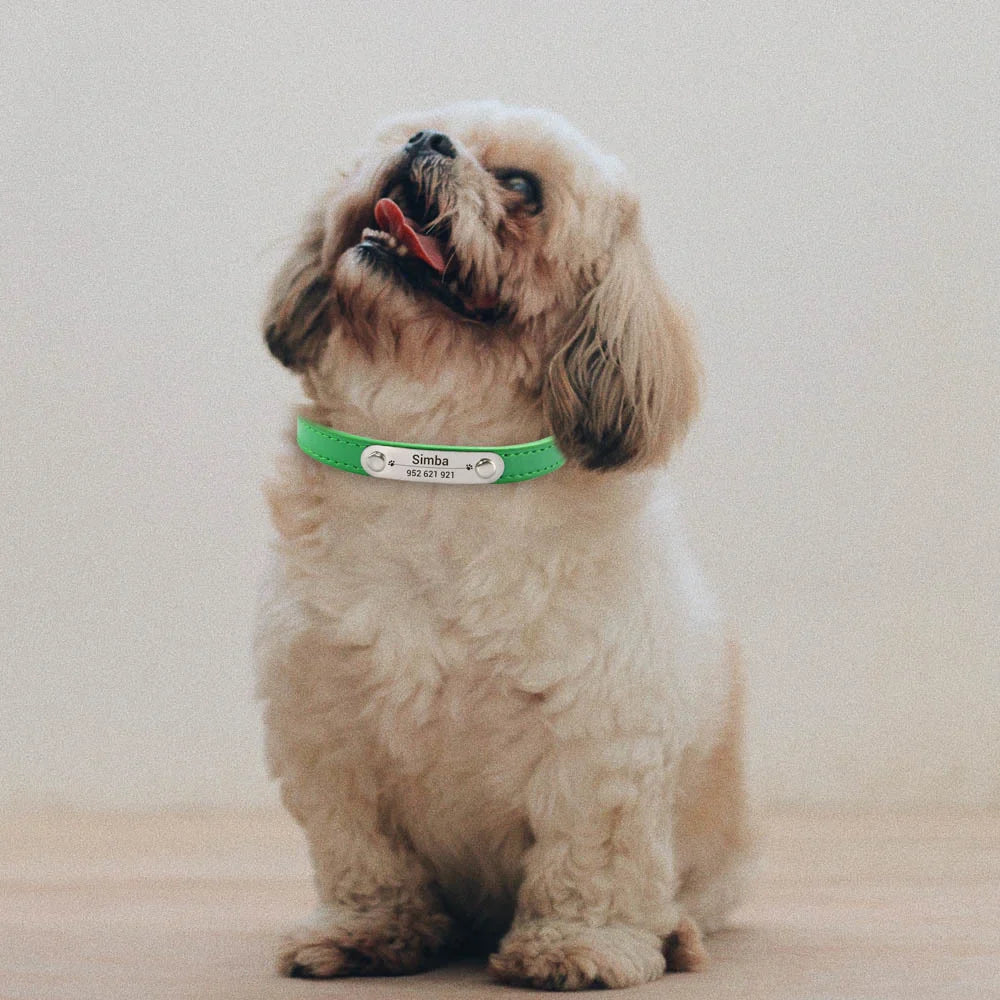 Personalized Dog Collar - Engraved ID Leather Collar