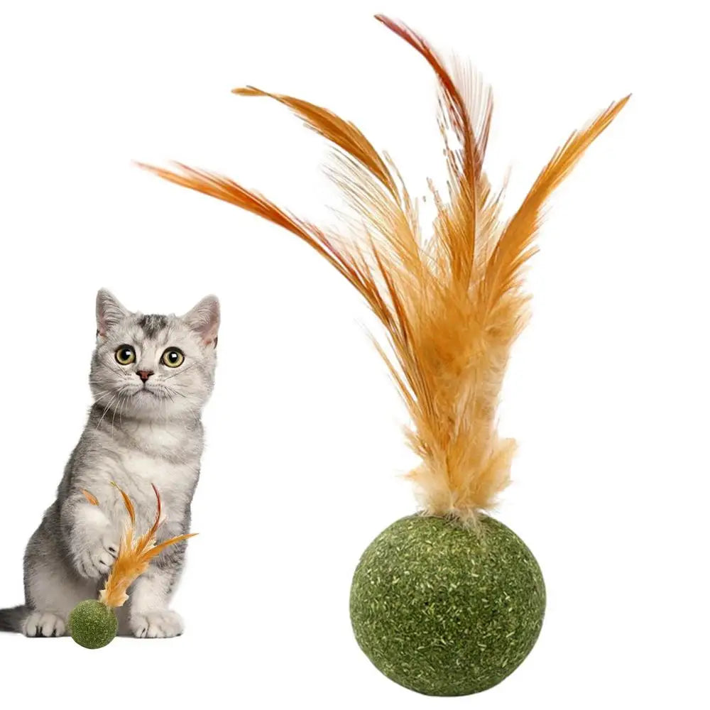 Cat Catnip Toy Feather Ball Teeth Cleaning ✅