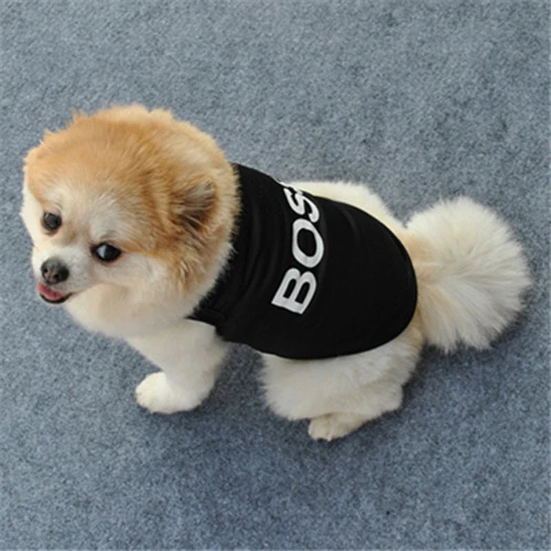 Dog Security Vest - Funny Summer Pet Clothing for Small Dogs