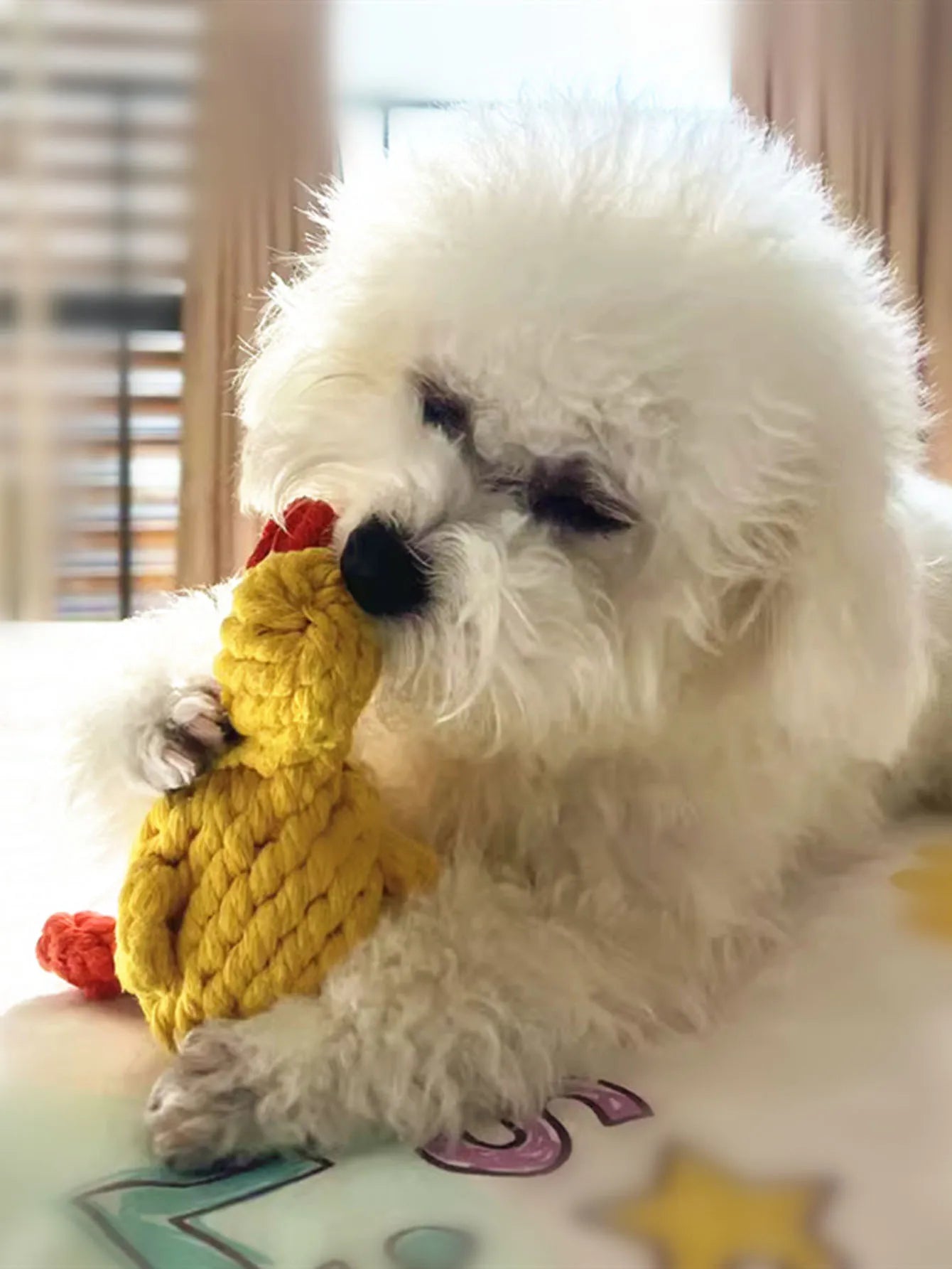Hand-Woven Cotton Rope Dog Toy - Teeth Resistant Natural Chew