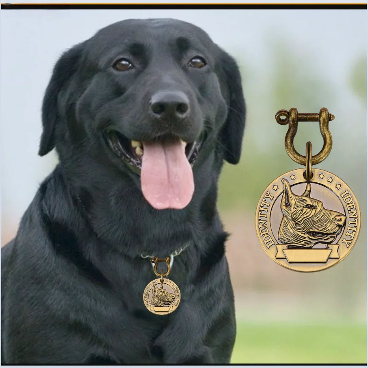 Custom Pet ID Tag - VIP Engraved Safety Nameplate