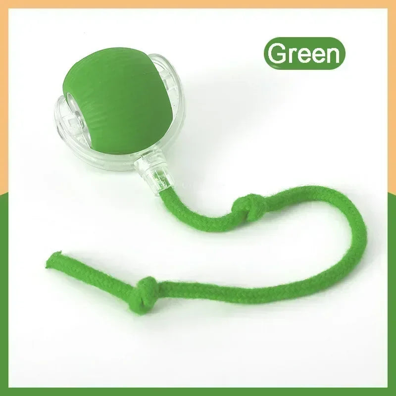 Rechargeable Interactive Smart Cat Toy - Automatic Rolling Ball Pet Accessories