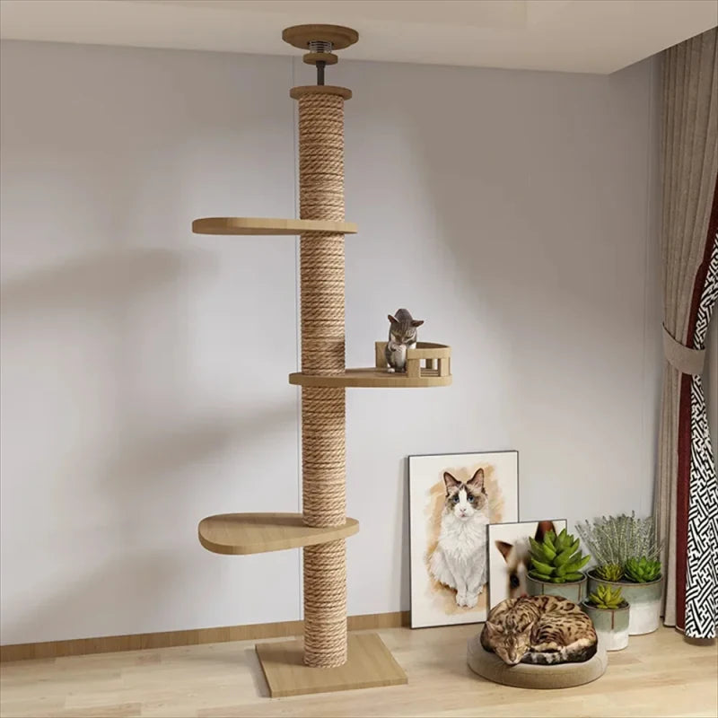 Multi Layer Solid Wood Cat Climbing Frame ๐ฑ