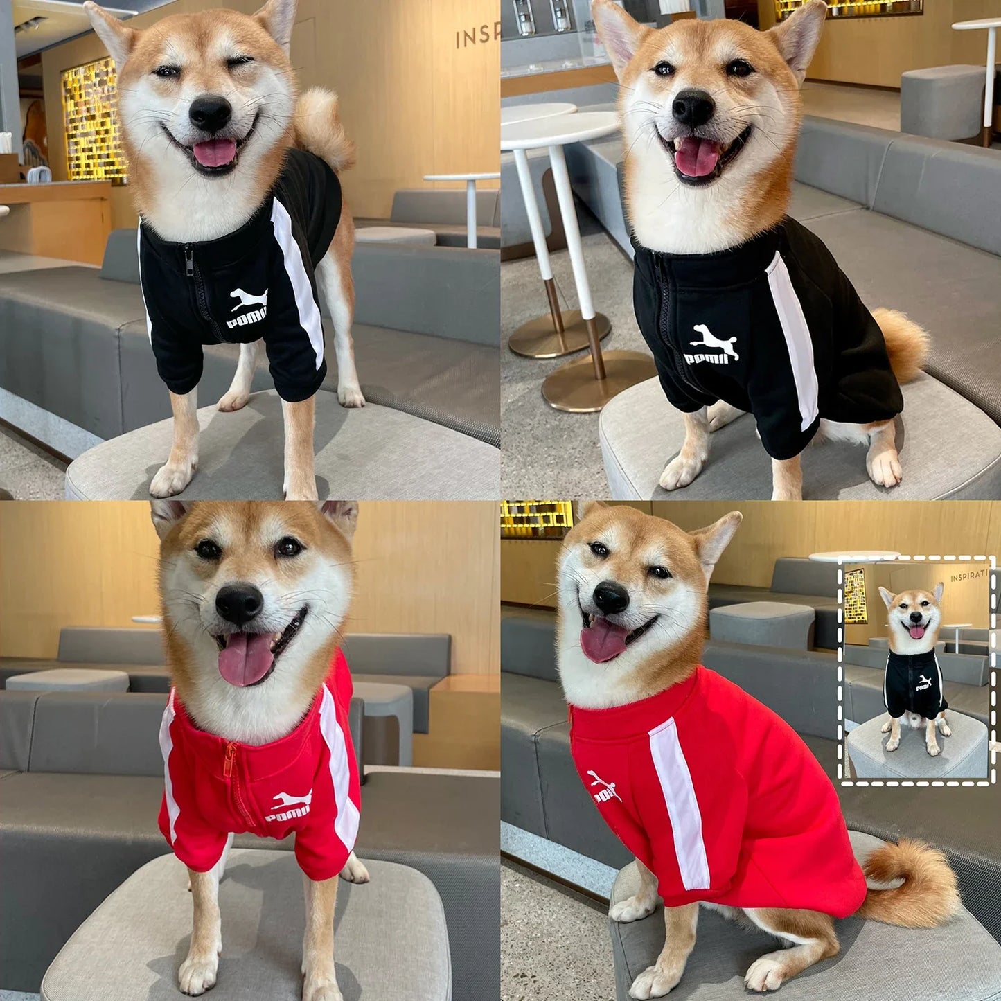 Cozy Dog Sweater - Winter Pet Clothing