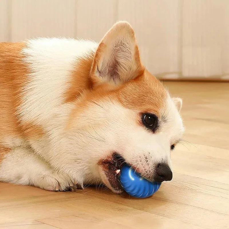 Dog Toy Ball Smart Auto Bouncing USB ⚽