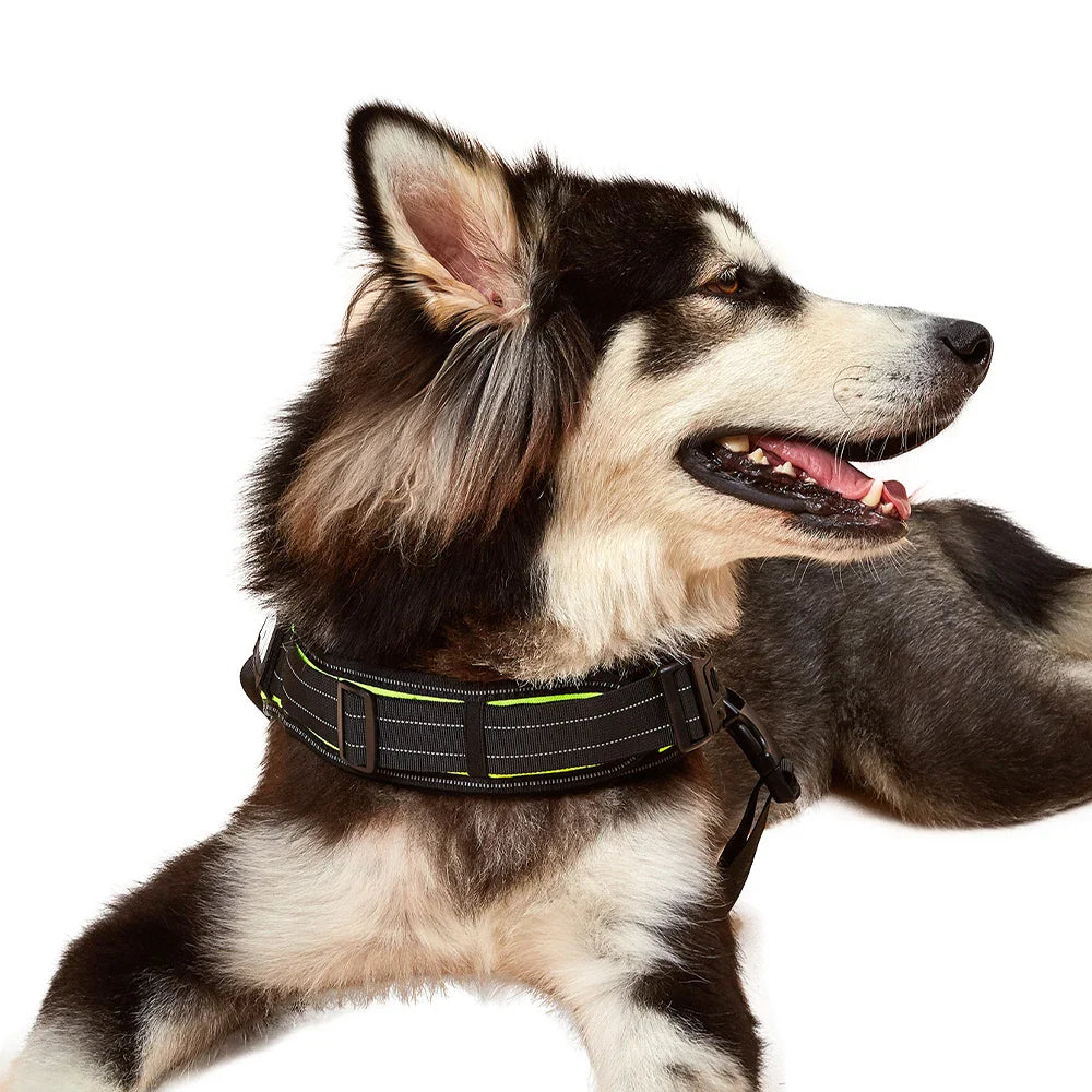 Safe No-Pull Dog Harness - Purrfect Pet Kingdom
