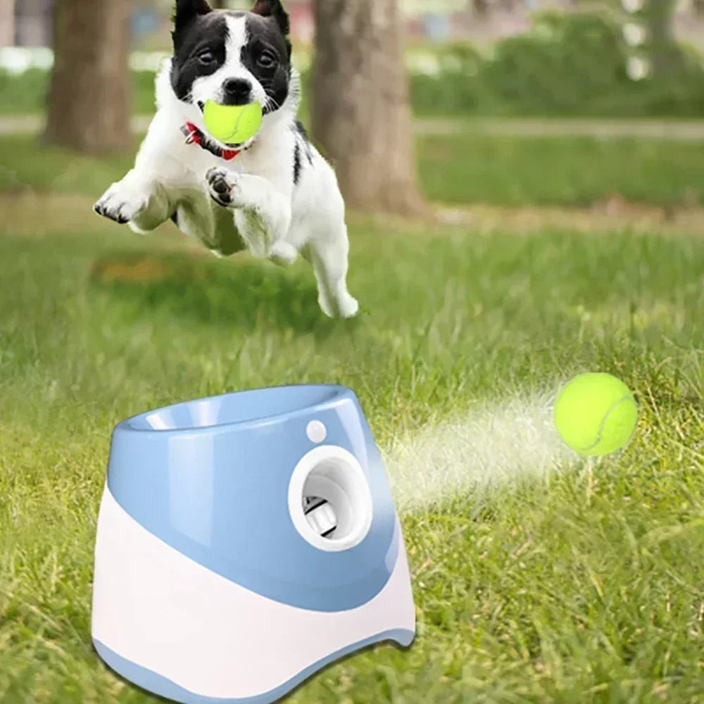 FetchMaster Pro: Auto Dog Ball Launcher - Pets - THRIXINE