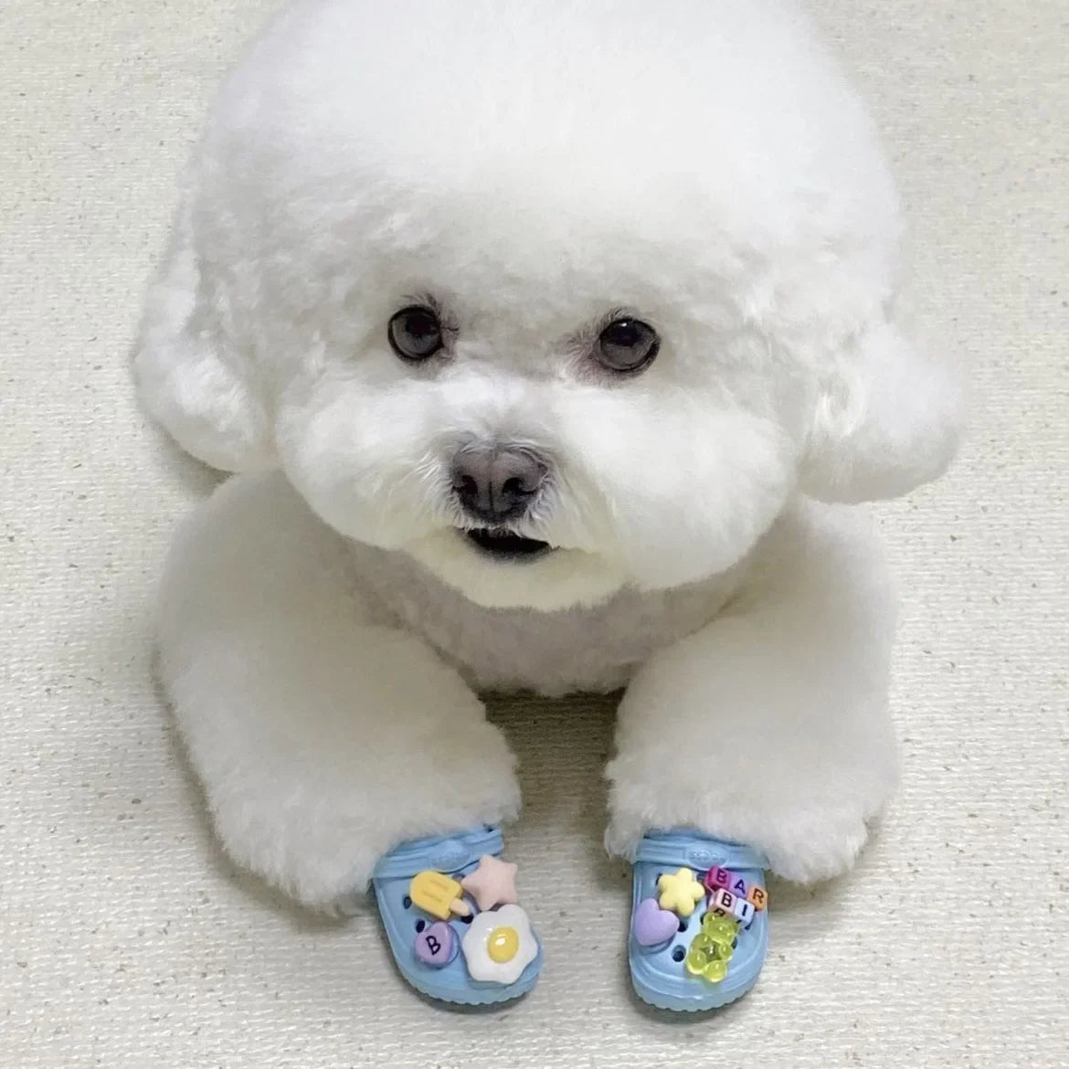 šļø Trendy Pet Beach Shoes - Instagram-Worthy Breathable Paradise with DIY Charm