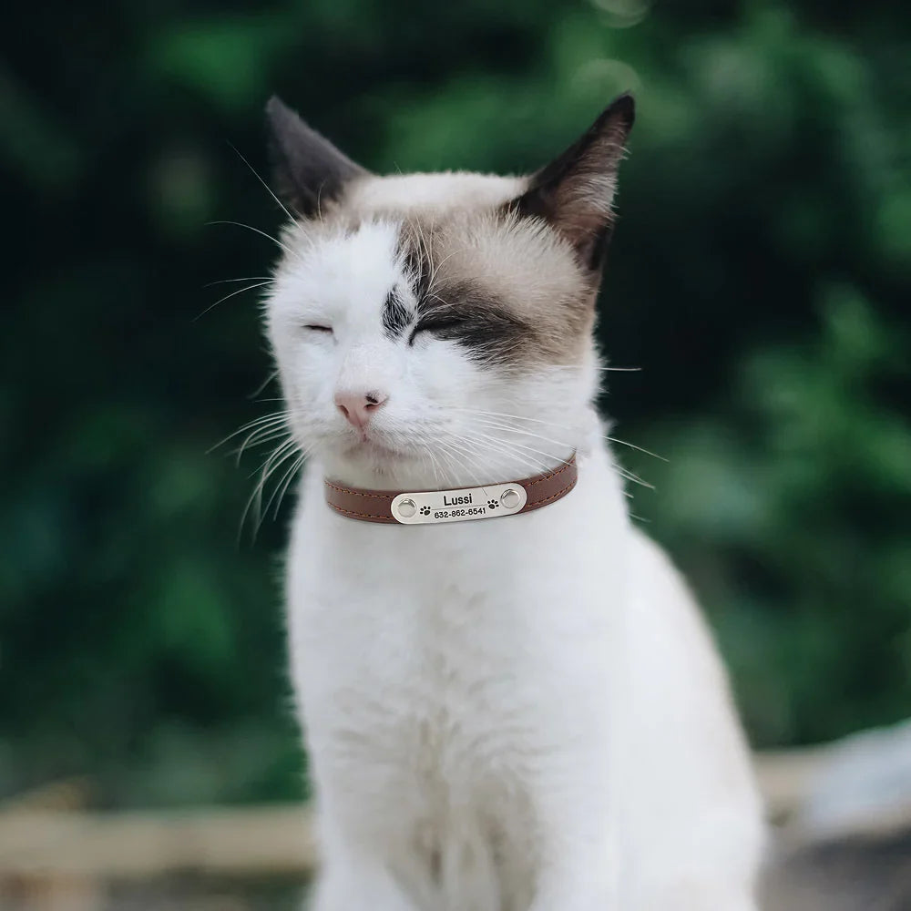 Personalized Dog Collar - Engraved ID Leather Collar