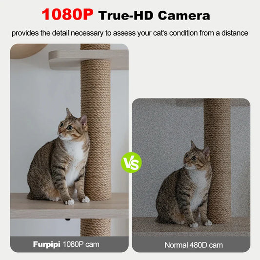 Comparison of clear 1080P vs grainy 480D camera quality showing a brown tabby cat on a sisal and wood cat tree.