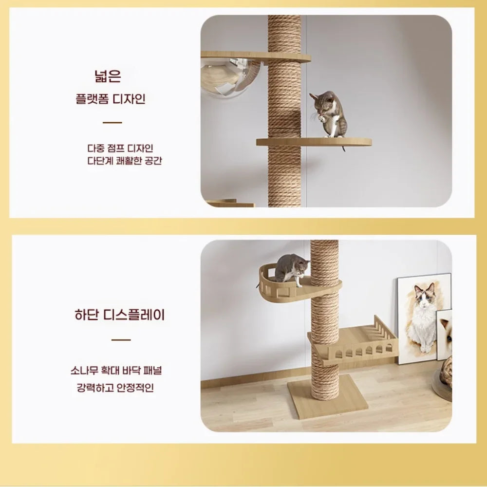 Multi Layer Solid Wood Cat Climbing Frame ๐ฑ