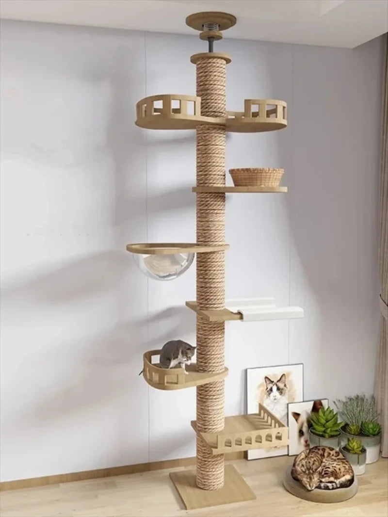 Multi Layer Solid Wood Cat Climbing Frame ๐ฑ