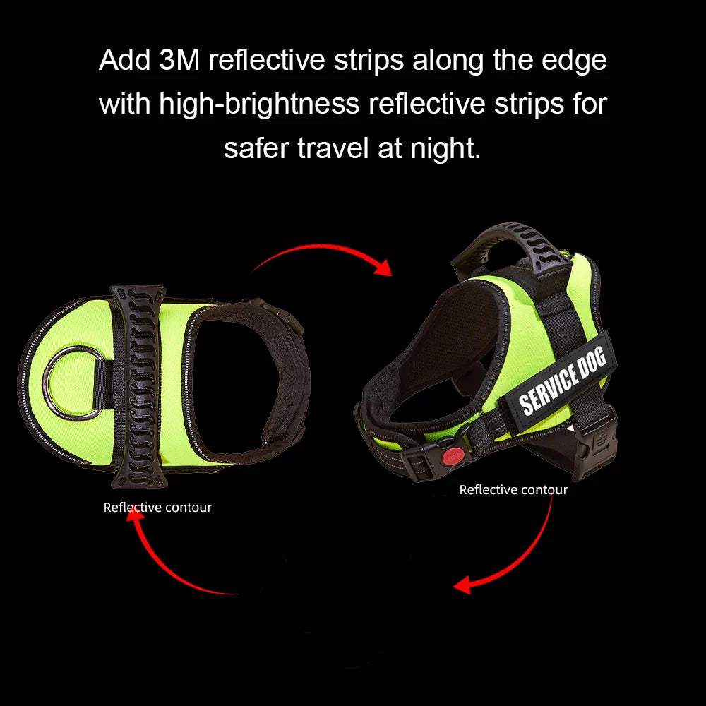 Safe No-Pull Dog Harness - Purrfect Pet Kingdom