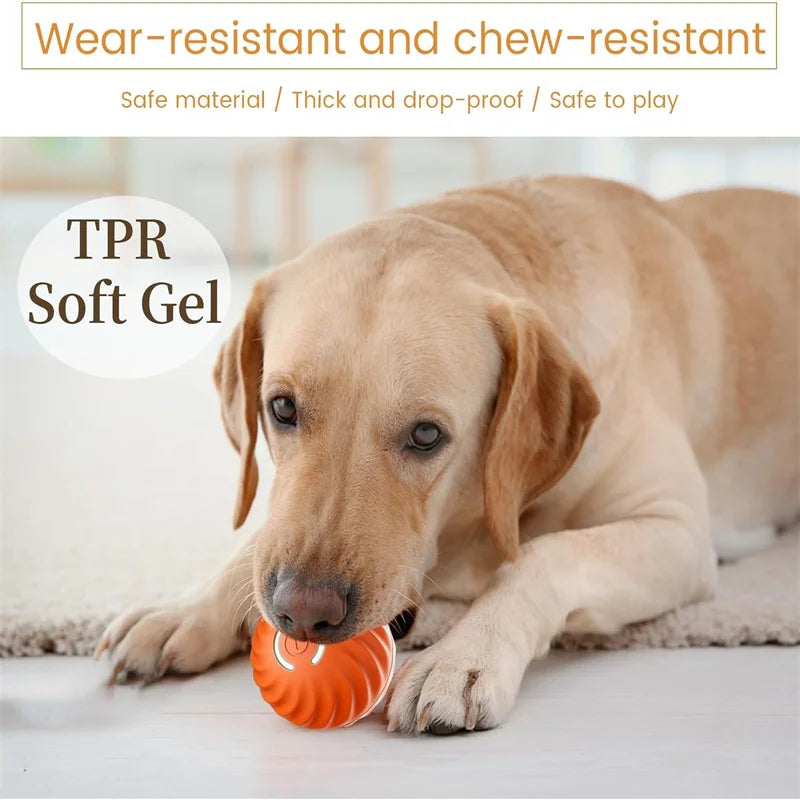 Dog Toy Ball Smart Auto Bouncing USB ⚽