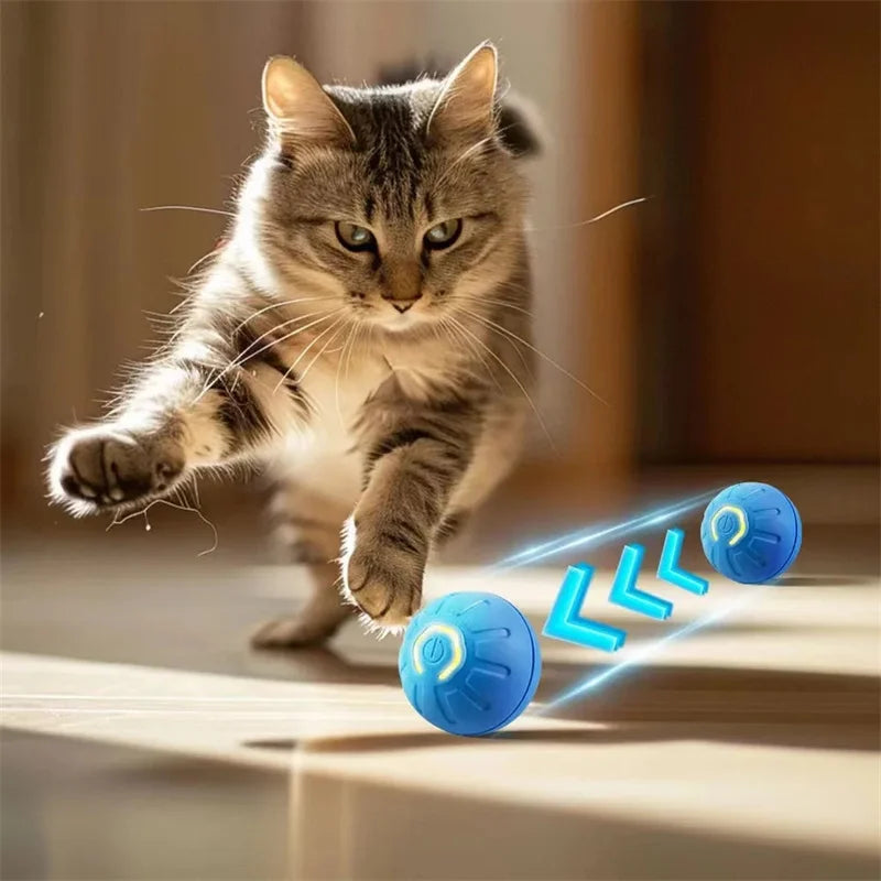 Dog Toy Ball Smart Auto Bouncing USB ⚽