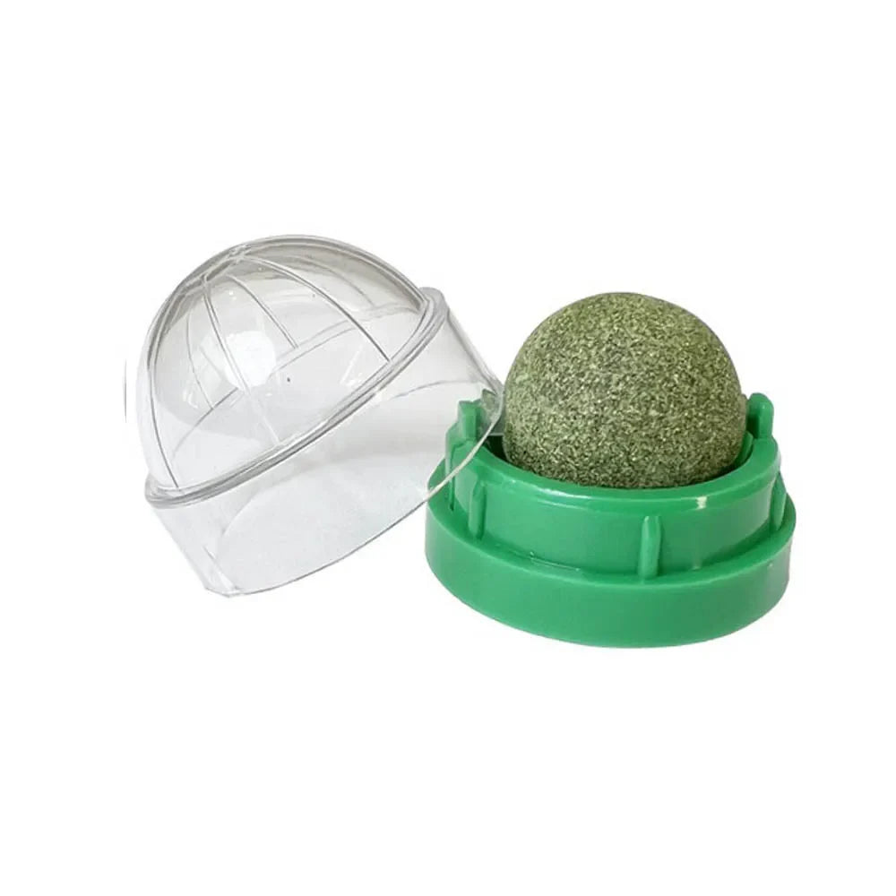 Catnip Wall Ball Treats Digestive Aid Fun ๐ฟ