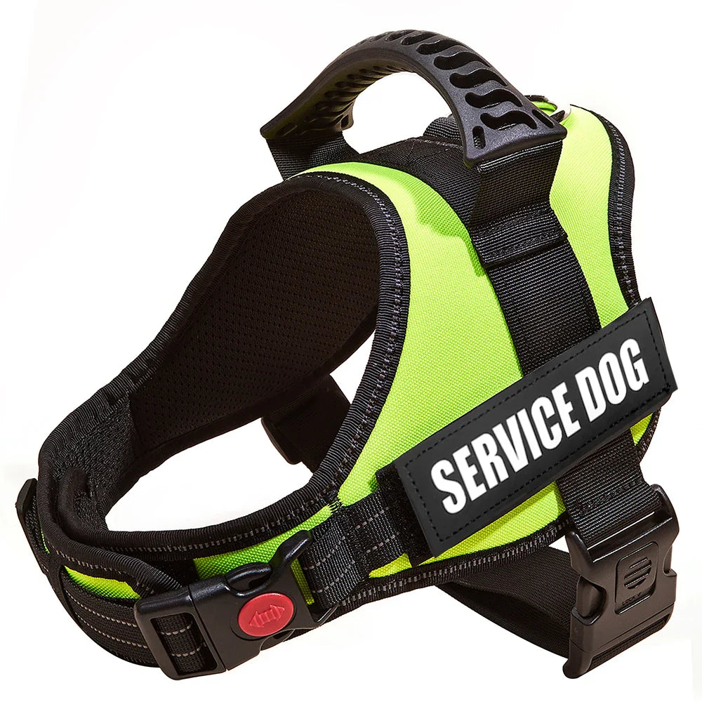 Safe No-Pull Dog Harness - Purrfect Pet Kingdom